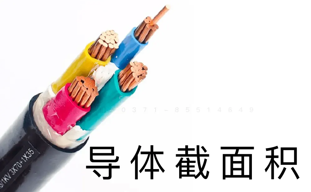截面积.webp